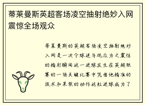 蒂莱曼斯英超客场凌空抽射绝妙入网震惊全场观众